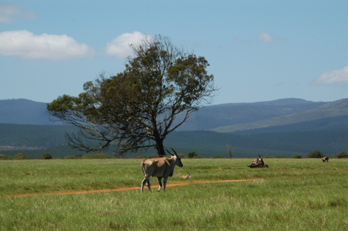Südafrika328